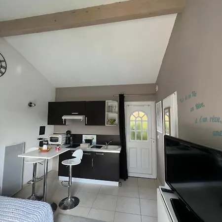 Studio Riquet Independant Attenant A Villa Capestang Exterior photo